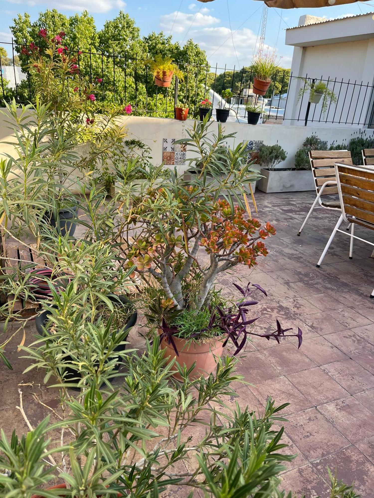 Apartament Alojate Mendoza - Departamento "Josefa" Terraza Y Parrilla Zewnętrze zdjęcie