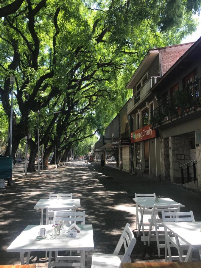 Apartament Alojate Mendoza - Departamento "Josefa" Terraza Y Parrilla Zewnętrze zdjęcie